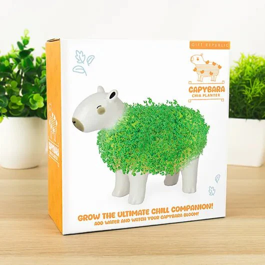 Capybara Chia Planter Grow Kit - Image 4