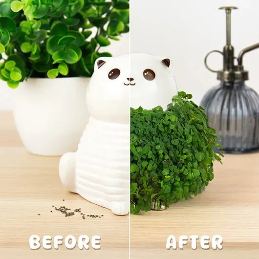 Cat Chia Planter Grow Kit - Image 5