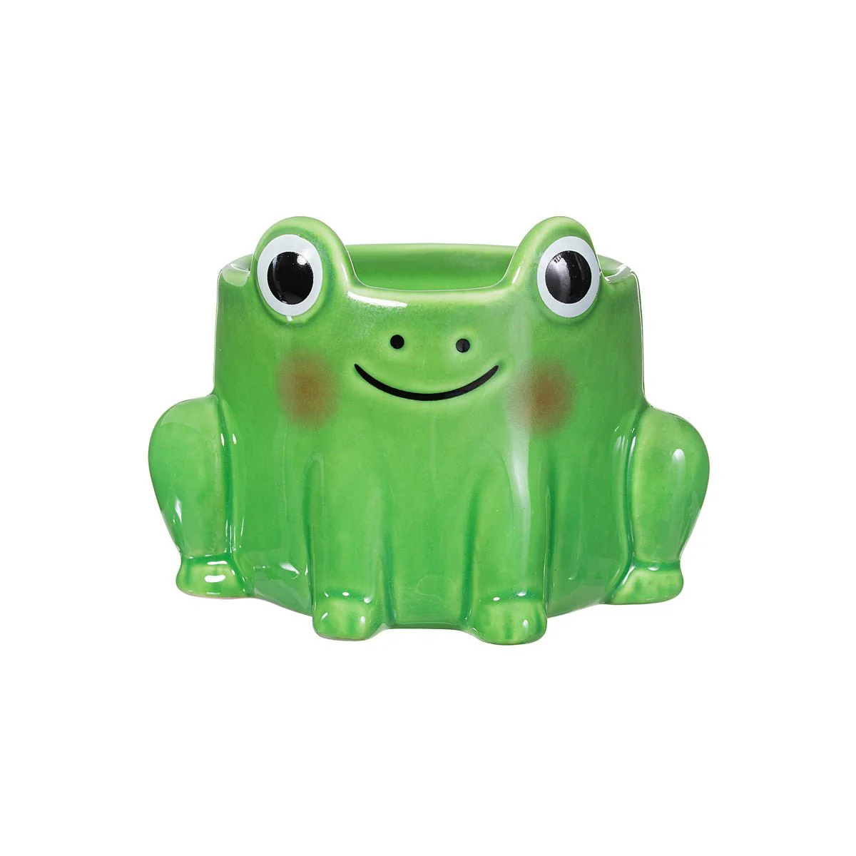 Sass and Belle Frog Mini Planter