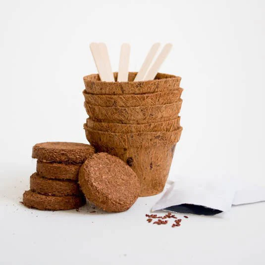 Grow It - Beer Hops - Image 2
