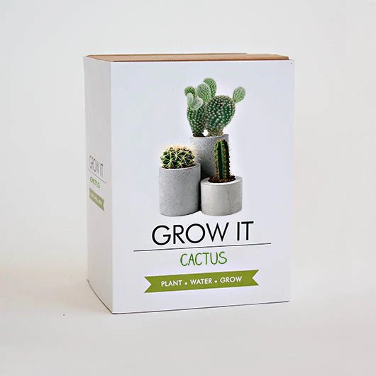 Grow It Cactus Plant Kit