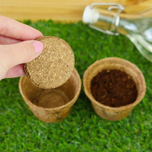 Grow It Carnivorous Plants Kit – Venus Flytrap & Pitcher Plant - Image 2