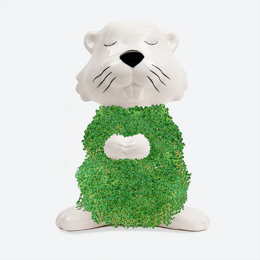 Hairy Beaver Chia Planter Grow Kit - Image 2