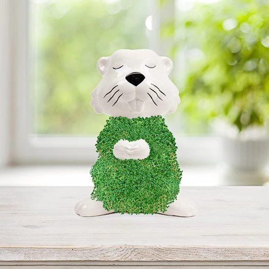 Hairy Beaver Chia Planter Grow Kit - Image 3
