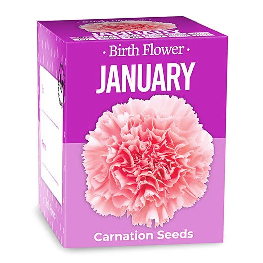 January Birth Flower