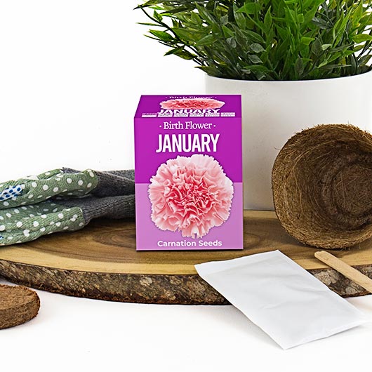 January Birth Flower - Image 3