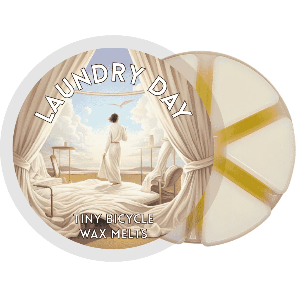 Laundry Day Segment Wax Melt