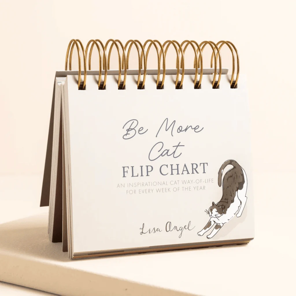 Lisa Angel Be More Cat Desktop Flip Chart