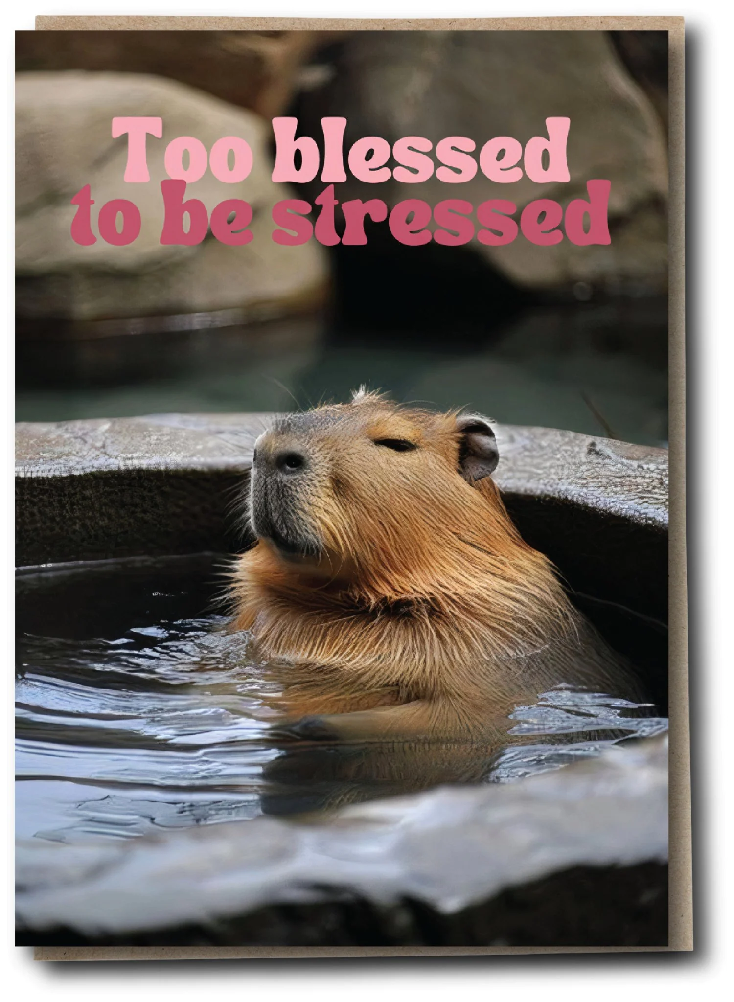 Silly Sausage Cards - Too Blessed