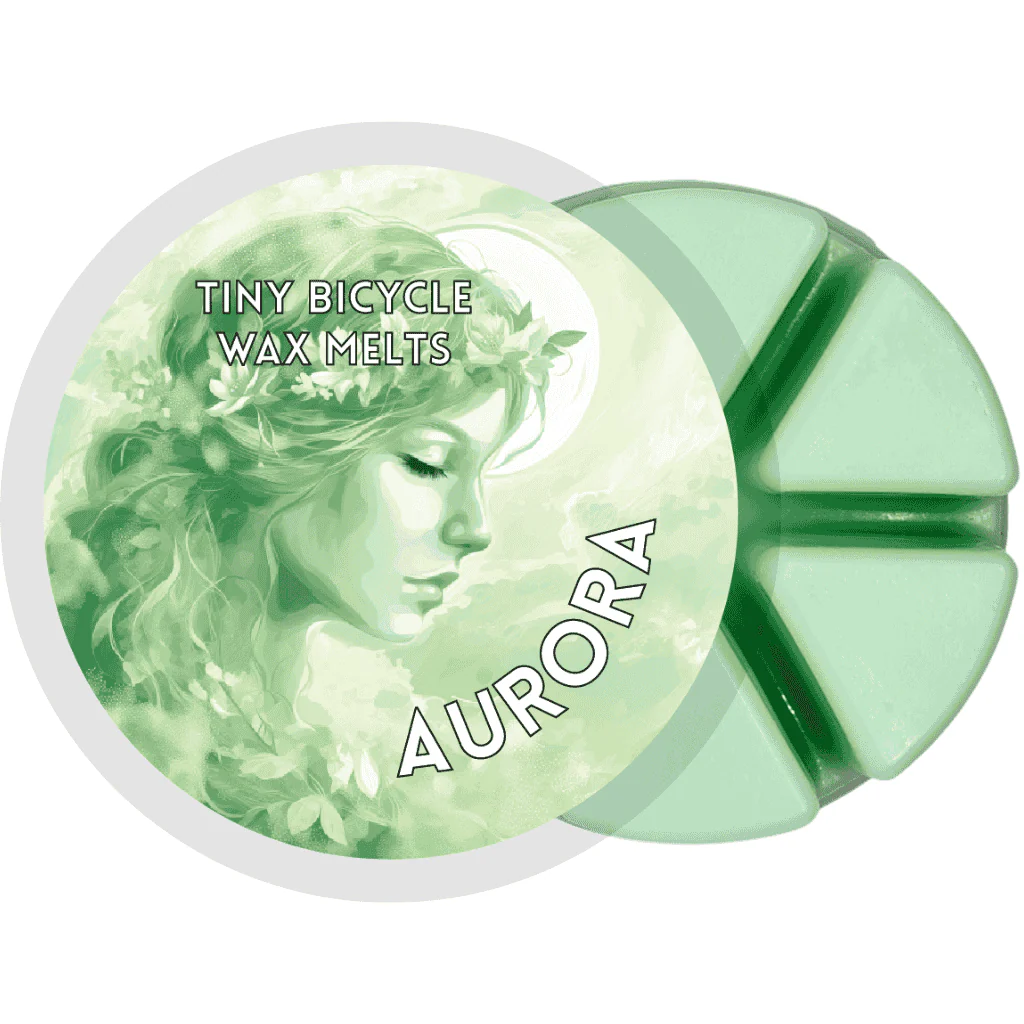 Aurora Segment Wax Melt