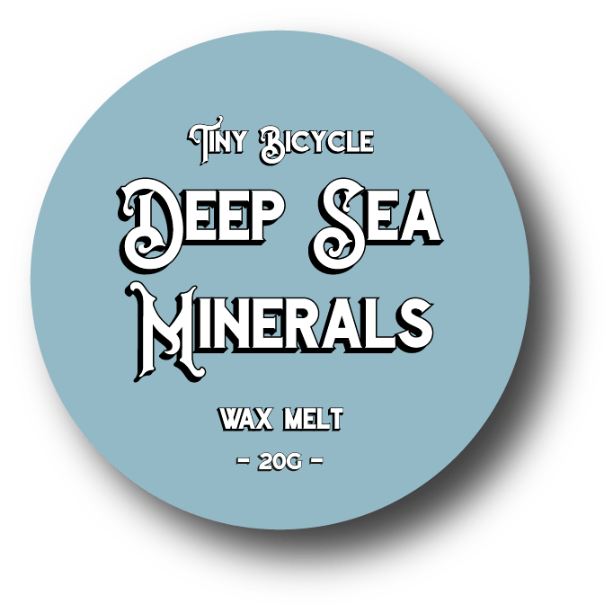 Deep Sea Minerals Mini Wax Melt