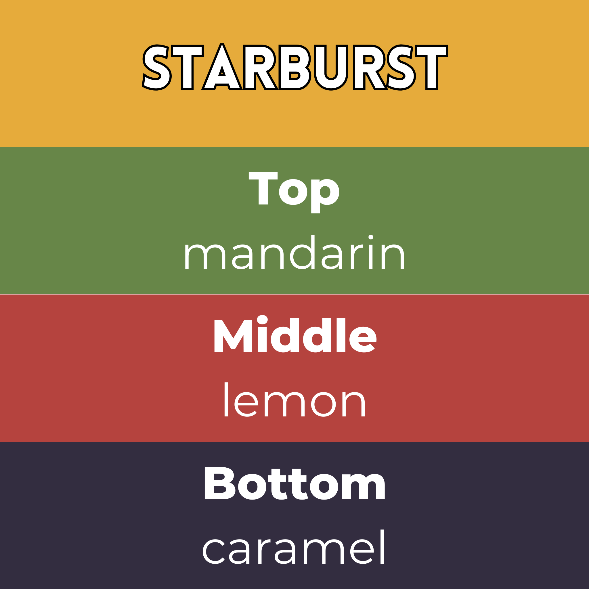 Starburst Segment Wax Melt - Image 2