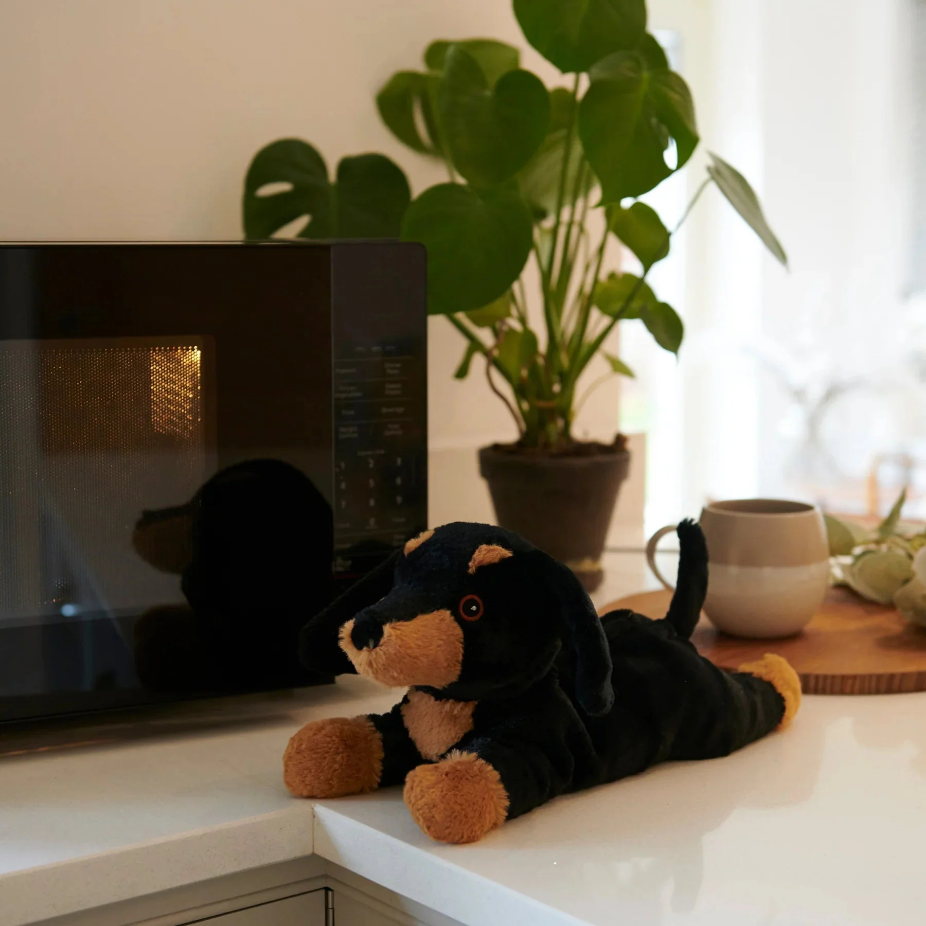 Warmies Junior Dachshund Microwavable Plush - Image 6