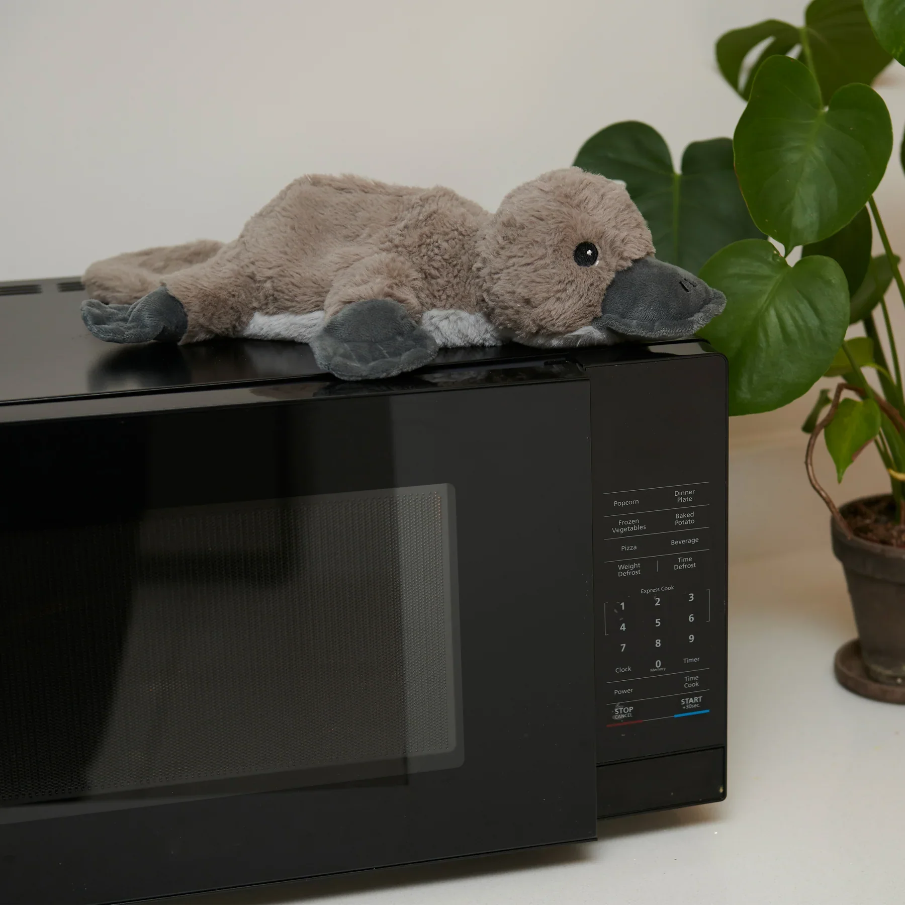 Warmies Junior Platypus Heatable Plush - Image 6